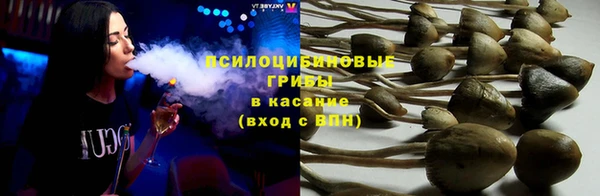 индика Вязьма