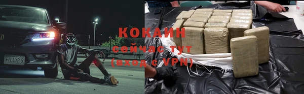 индика Менделеевск