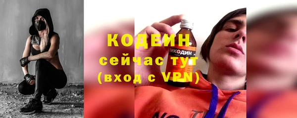 индика Вязьма