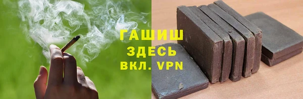 индика Вязьма