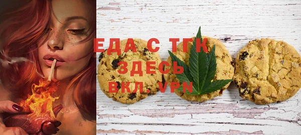 индика Вязьма