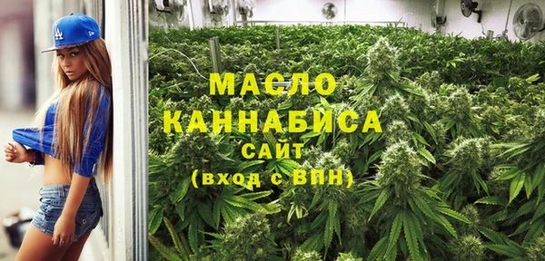 индика Вязьма