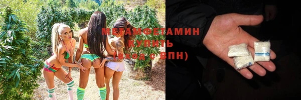 индика Вязьма