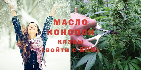 индика Вязьма