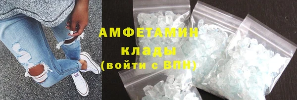 индика Менделеевск